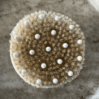 Anti Cellulite Brush